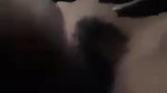 painful Bangla pussy fucking