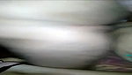 hardcore moaning XXX sex