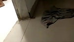 PRIYA BHABHI CUCKOLD 14