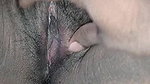 hairy indian pussy