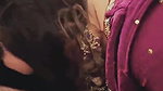 Hot Milf Sucking Lover Dick