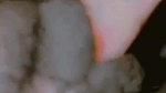 cute girl boobs and pussy show