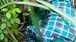 Dehati lovers