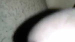 Muslim wife illicit sex