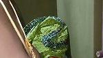 Tamil nude MMS