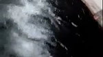 sexy SriLankan girl blowjob