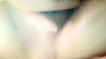 Bengali pussy show