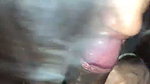 Desi Bhabhi Blowjob