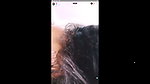 naughty Indian wife