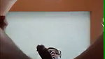 busty Indian aunty sucking dick