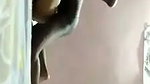 Telegu lovers pussy fucking video