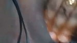 mature Bangladeshi Bhabhi fingering