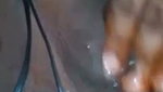 mature Bangladeshi Bhabhi fingering