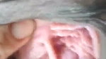 Indian pink pussy hole