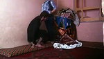 Pakistani couple illicit sex