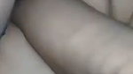Bengali couple porn