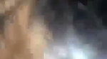 amateur Indian dick sucking