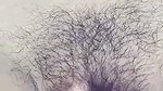 hairy Dehati pussy 1