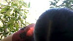 Dehati XXX video of a maid
