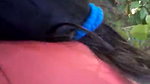 Dehati XXX video of a maid