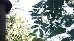 Dehati XXX video of a maid