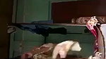 Dehati sex MMS clip