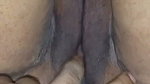 Paki Bhabhi home sex
