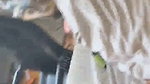 Desi bigass babe blowjob and fucking