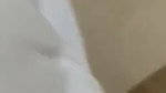 Cute babe sucking dick and cumshot