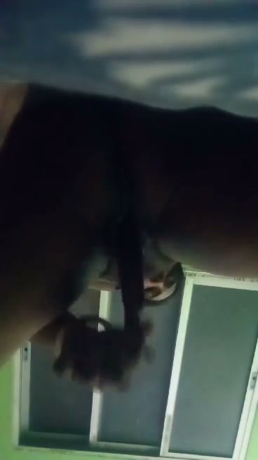 Frame 8