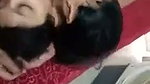 homemade sex