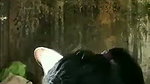 dehati lovers ki chudai