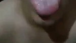 pussy fuck by brinjal