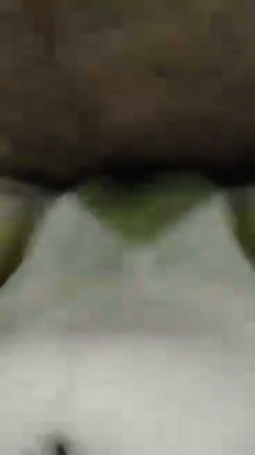 Frame 6