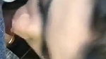 Horny Girl Sucking Dick Fucking