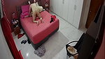 Home IP cameras 2020 08 20 03 20 usersporn com