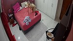 Home IP cameras 2020 08 20 03 20 usersporn com
