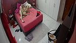 Home IP cameras 2020 08 20 03 20 usersporn com