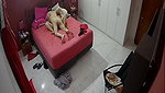 Home IP cameras 2020 08 20 03 20 usersporn com