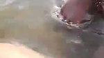 Indian Couple Outdoor Enjoying