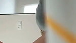 White ass Punjabi lady erotic blowjob and viral sex