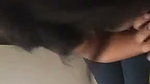 Hot girl giving Blowjob in jungle and riding