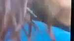 Sexy GF Handjob And Desi Blowjob Inside Car