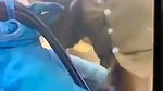 Sexy GF Handjob And Desi Blowjob Inside Car