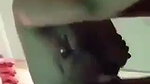 doggy styke sex with bhabhi