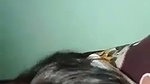 village lovers sex mms