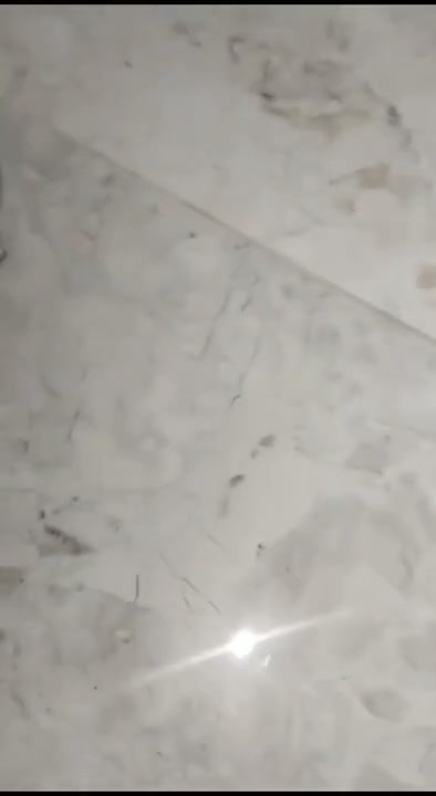 Frame 8