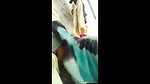Village girl giving Blowjob to his uncle