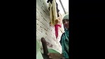 Village girl giving Blowjob to his uncle