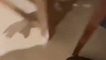 Desi Horny Lover Stand Fucking